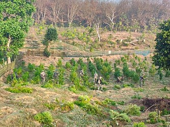 Bodhjungnagar police destroyed Ganja cultivations in Rajchantai area. TIWN Pic Jan 31