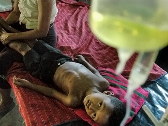Malaria deaths continue, state on high alert for dengue, health dept seeks dengue test kits from centre 