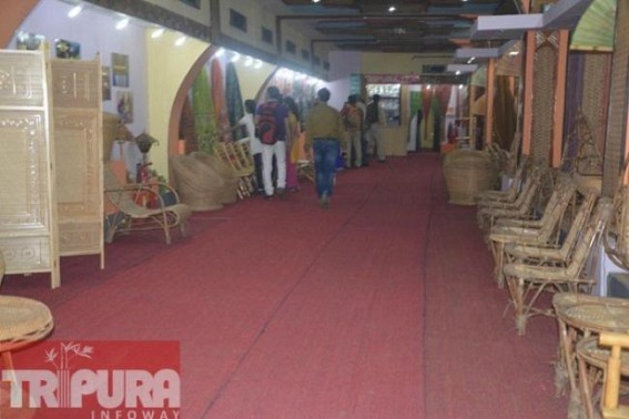 Tripura Bamboo Mission attending IITF 2015 at New Delhi