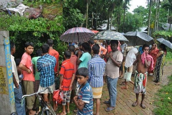 Bodies of two men recovered, no arrest