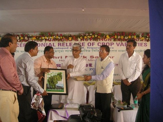 ICAR Tripura develops 16 new high yielding crop varieties : Major success in Agriculture Research ICAR Tripura develops 16 new high yielding crop varieties : Major success in Agriculture Research