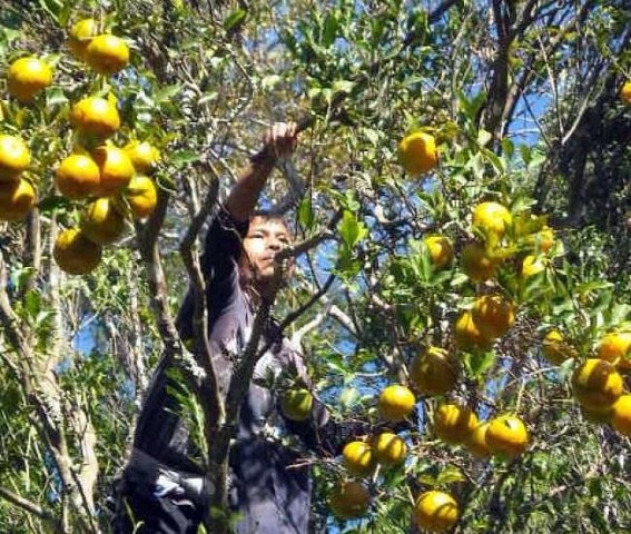 Mizo habitants of Jampui Hills likely to visit Governor demanding separate ADC