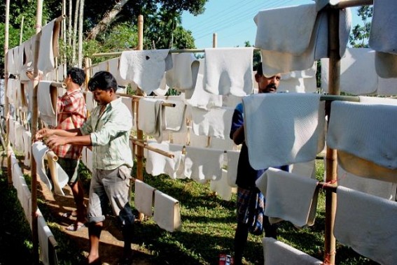 77024 metric ton of rubber produced in Tripura at the recent consecutive years:  Rubber Industry faces tough competition to maintain its glory