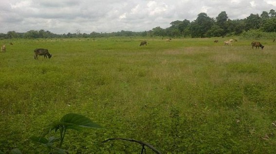 Muhuri Char issue panics Belonia Border area : Section 144 at Indo-Bangla Border at South Tripura