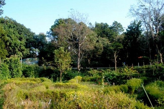 Prize distribution ceremony to be held on the occasion of 66th Van Mahotsav