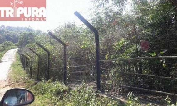 Theft cases on a rise in the border areas of Belonia Town