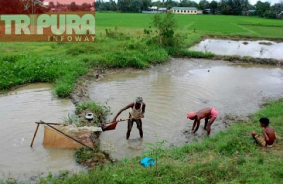 Several initiatives taken for fish farming, Stateâ€™s market yet dependent on imported fish