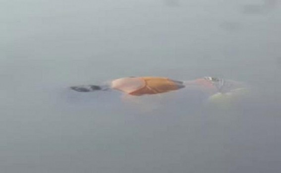 Two women die in separate incidents at Udaipur