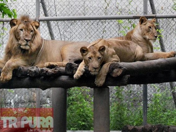 State to celebrate 31st State Level Wildlife conservation week