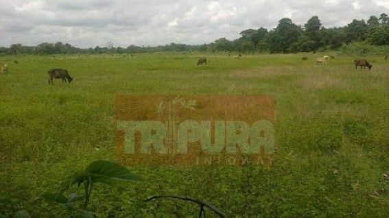 Long disputed Muhuri Char to be sealed