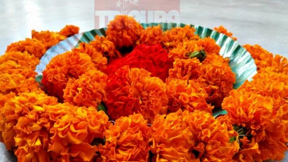 Festival of colours celebrated with gaiety all across the State 