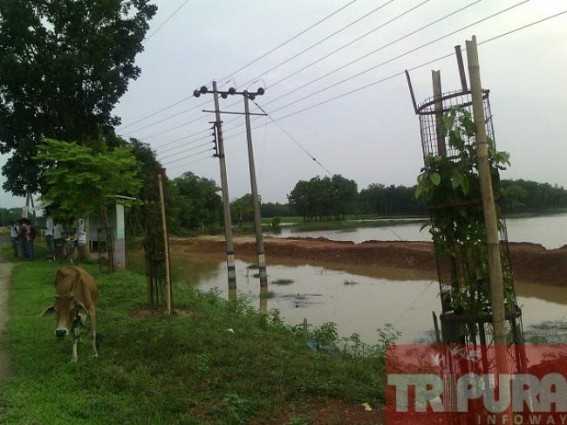 Slow Progress of Indo-Bangladesh border fencing work : Poor quality work by  NBCC