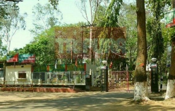 Three lion cubs, 10 python snakelets born in Tripura zoo