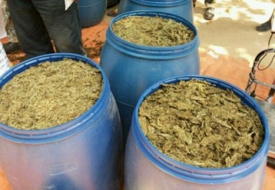 Ganja recovered by BSF