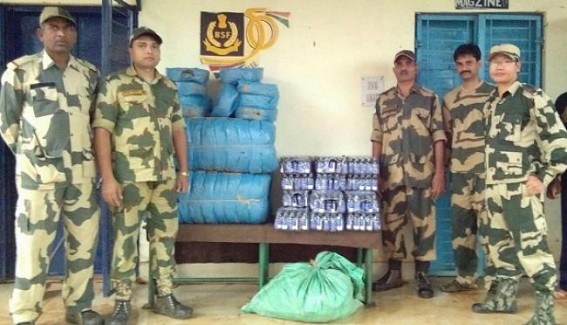 Major seizure of Ganja, Phensedyl by BSF Major seizure of Ganja, Phensedyl by BSF