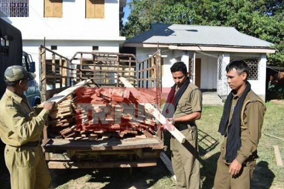 Forest Dept seized woods worth lakh   