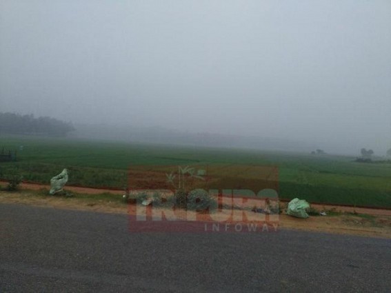 Foggy morning on Shashti Foggy morning on Shashti