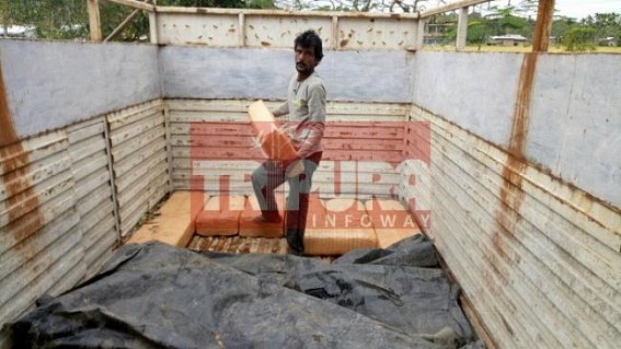 160 Kg ganja recovered