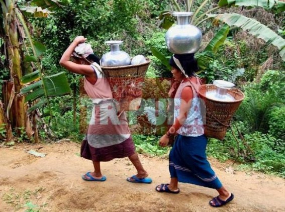 Tribal knowledge about medical science will be published in Book