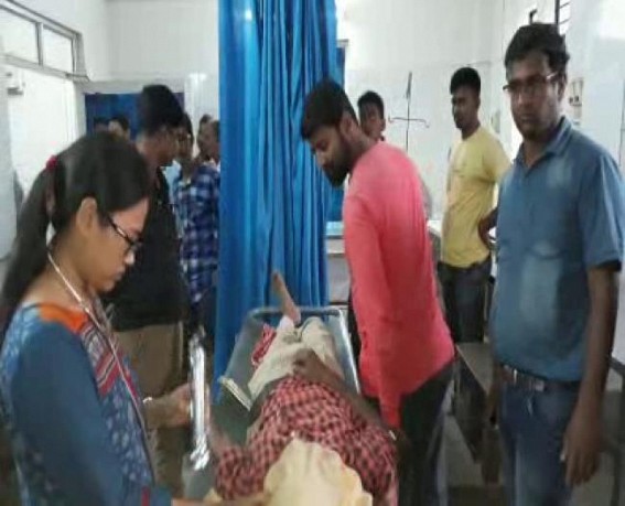 Elephant kills mahout in Tripura zoo 