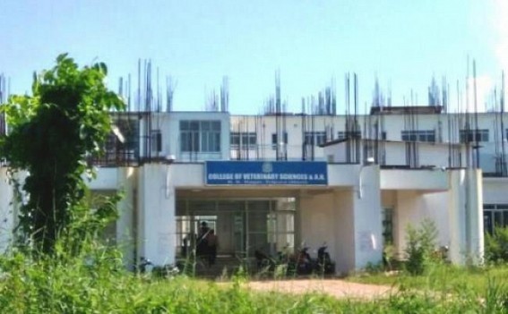 Tripura’s Veterinary Students get only Rs. 1,300 as internship allowances : Lowest in whole India Tripura’s Veterinary Students get only Rs. 1,300 as internship allowances : Lowest in whole India