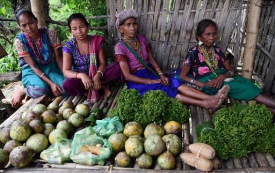 â€˜Tripuraâ€™s Rural Economy deteriorated, MGNREGA mandays given 2.5 days in 4 monthsâ€™, claims Opposition