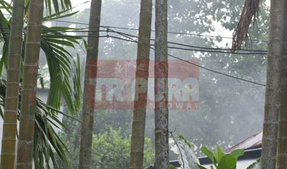 Illegal rice mills pollution continue, State Pollution Control Board in slumber 