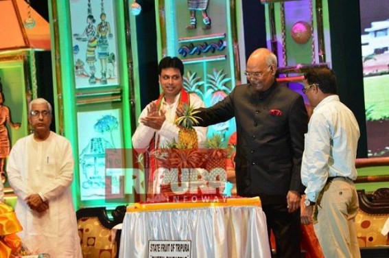 President declares Queen-Pineapple as â€˜State Fruitâ€™ of Tripura