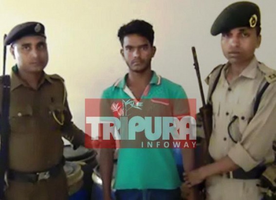 200 kilo ganja seized ; 1 arrested