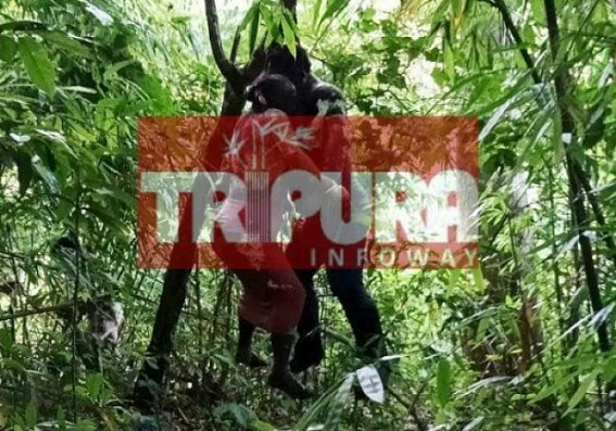 Rotten dead bodies recovered from forest