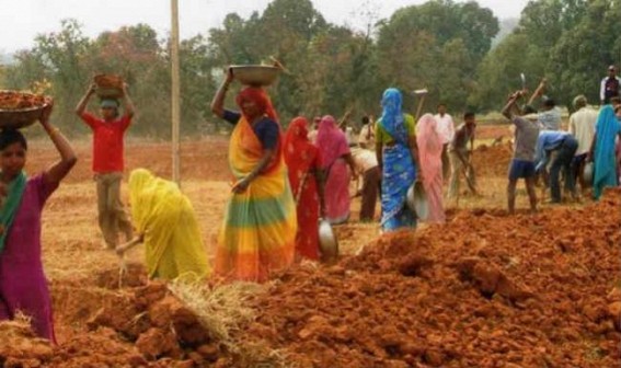 MGNREGA mandays drastic fall, Unemployment at 30.9% hit Tripura's economy MGNREGA mandays drastic fall, Unemployment at 30.9% hit Tripura's economy