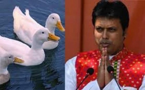 â€˜2,000 ducks will be given to Neermahal localsâ€™