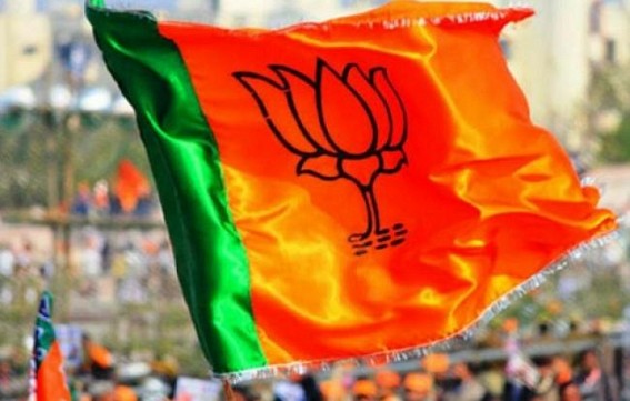 BJP website down after alleged hacking attempt