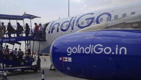 IndiGo's Q1 net profit rises to Rs 1,203 cr