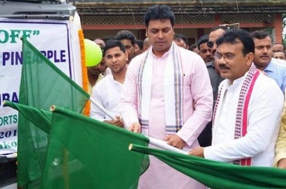 Tripura's State Fruit Queen Pineapples exported to UAE Tripura's State Fruit Queen Pineapples exported to UAE