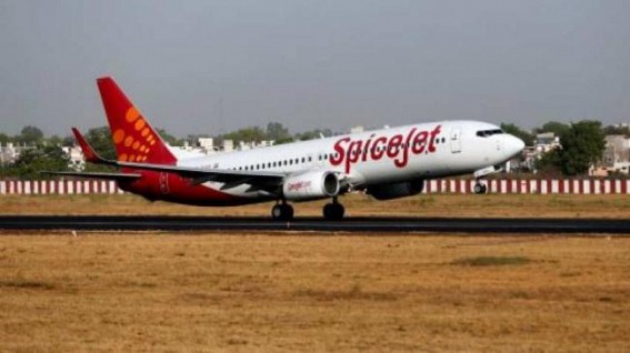 SpiceJet for more wide-body jets, govt vets incentive plan SpiceJet for more wide-body jets, govt vets incentive plan