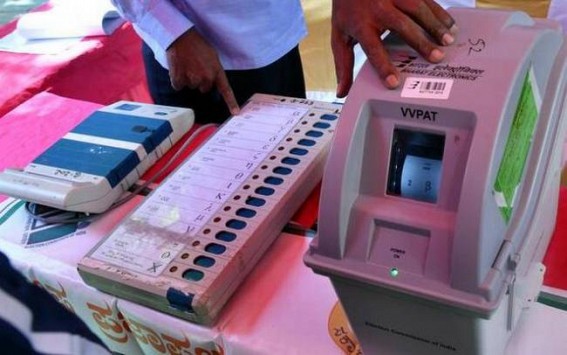 'VVPAT verification may delay LS results to May 24'