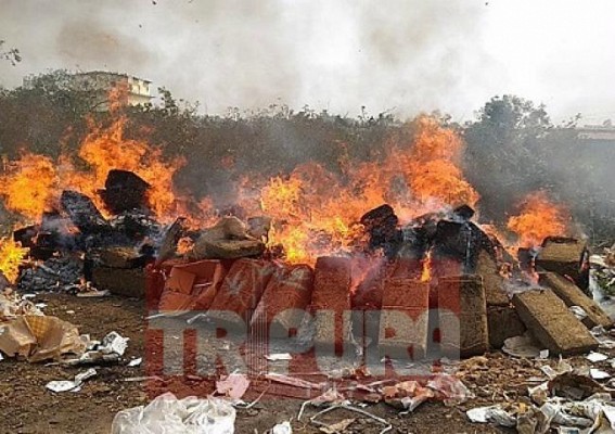 Huge quantity of phsensedyl, ganja destroyed 