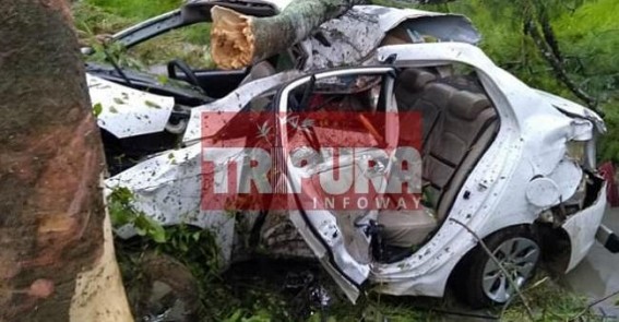 Tree collapsed on car, 3 spot dead