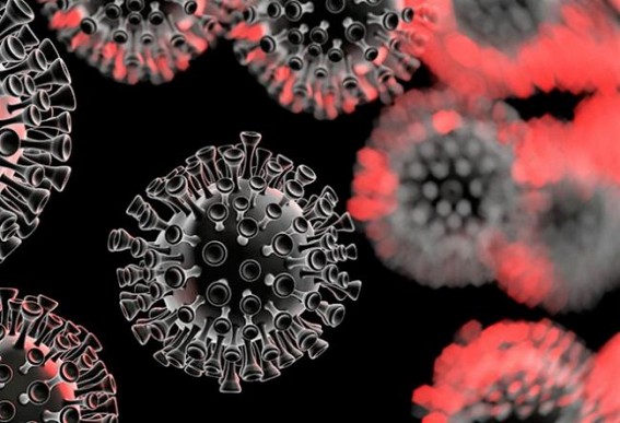 India Cases hit 6565, death toll 206 : Northeast reports 1st Death, Cases surges in Tripura at 2