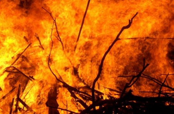 Massive fire breaks out at Malay Nagar