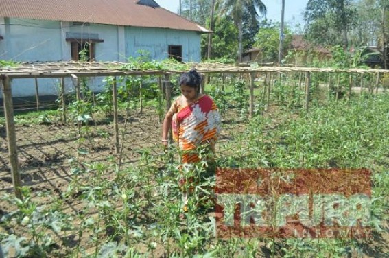 Loss facing farmers sought Govt compensation after rain hit cultivation 