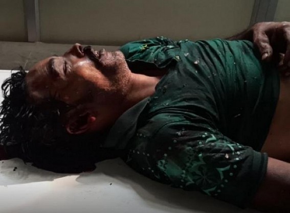 A Daily Worker died after falling from tree A Daily Worker died after falling from tree