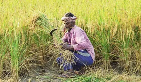 'One District One Focus Product' list finalized