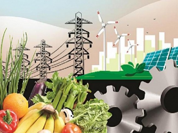 Record High: India's WPI inflation zooms to 12.94% in May 