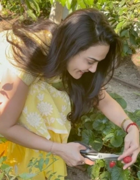 Preity Zinta: I am so proud of our little organic home garden