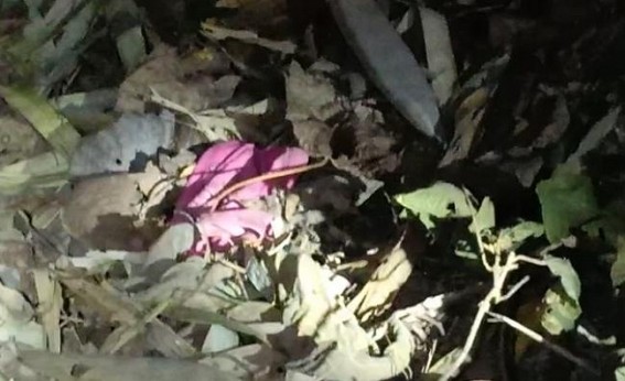 6 Yrs old missing girl found dead : 1 ArrestedÂ 