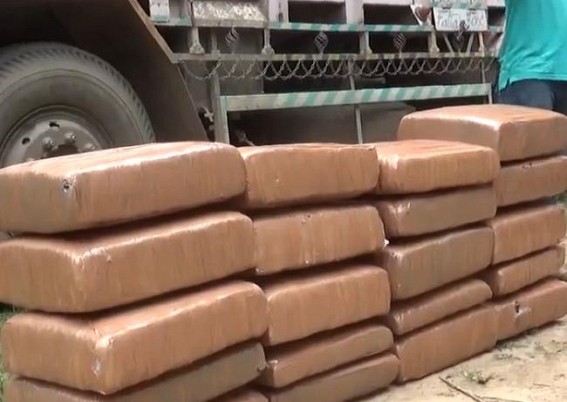 Jirania police detained two while smuggling dry cannabis from Sadhupara NH, Agartala