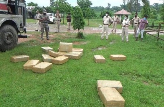 400 kg dry cannabis worth Rs 50 lakhs seized from a lorry while trafficking