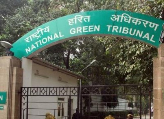 NGT junks plea against opening school in Lucknow's residential area